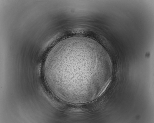 X0000112410735200908281813