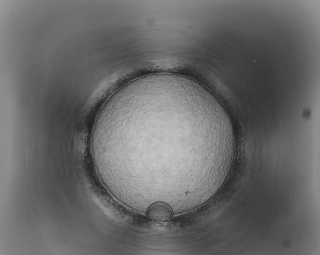 X0000112410736200908281813