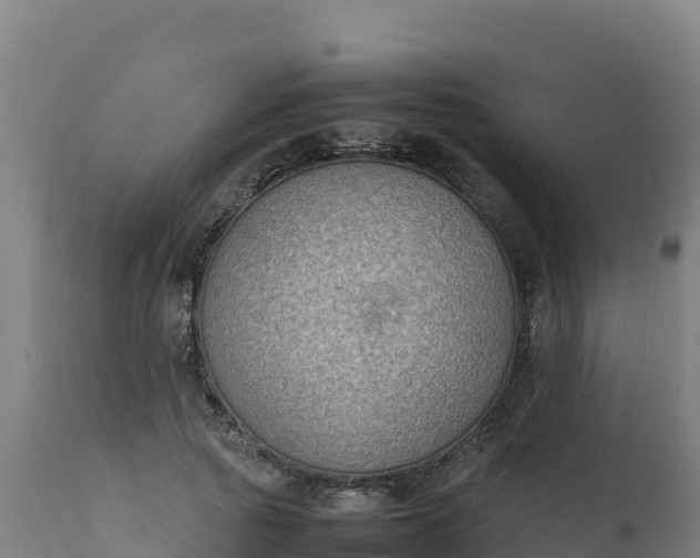 X0000112410737200908281813