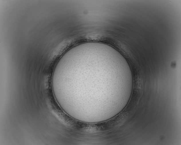 X0000112410738200908281813