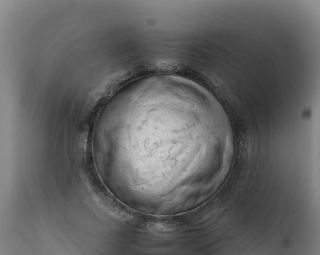 X0000112410739200908281813