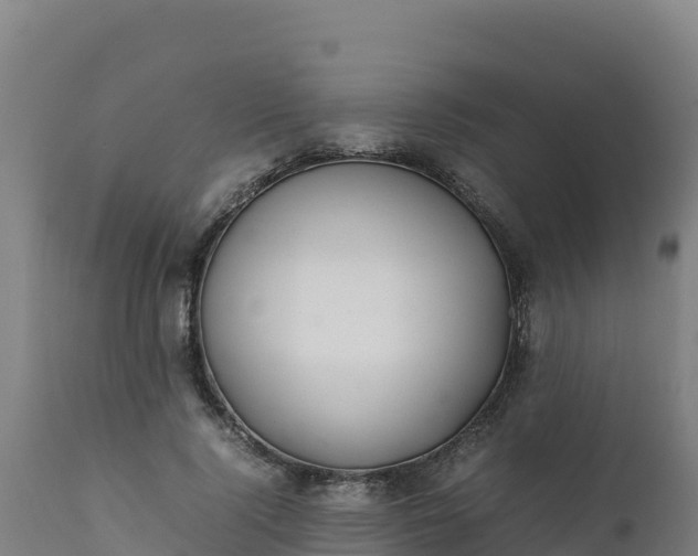 X0000112410740200908281813