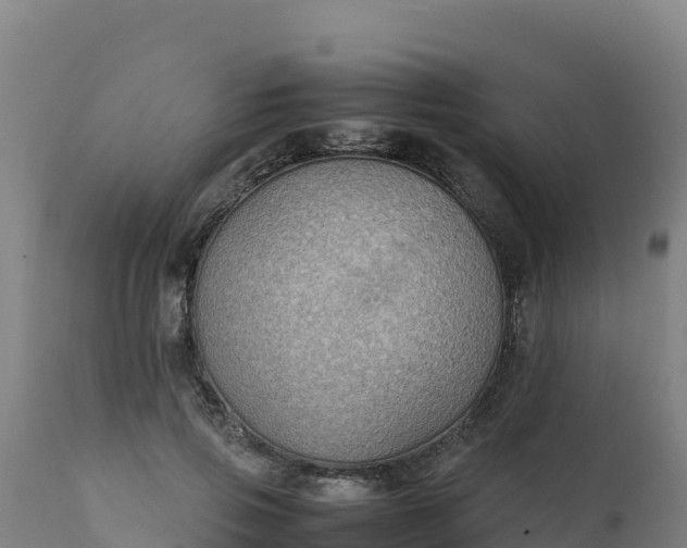 X0000112410741200908281813