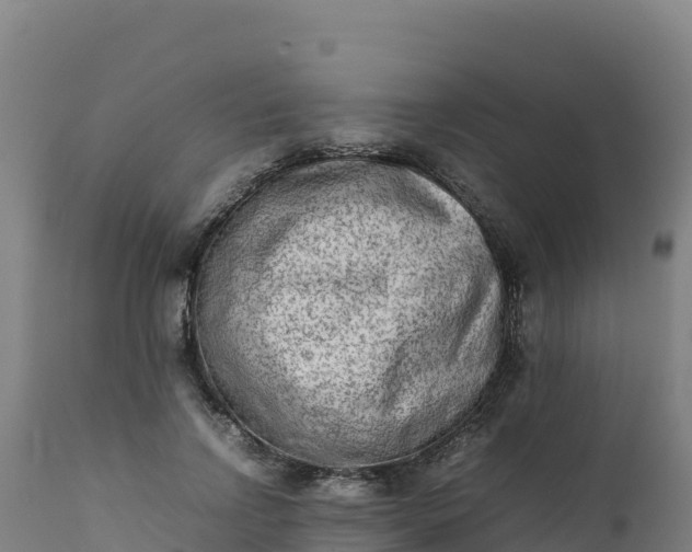 X0000112410742200908281813