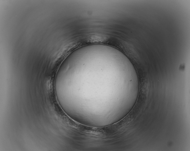 X0000112410743200908281813