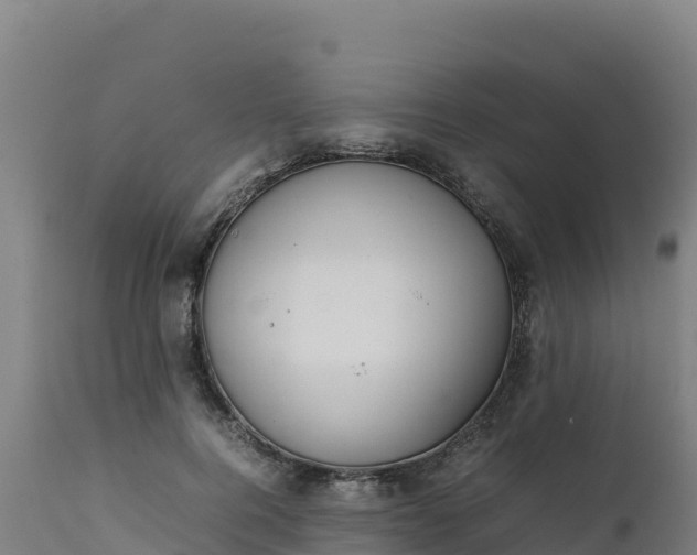 X0000112410744200908281813