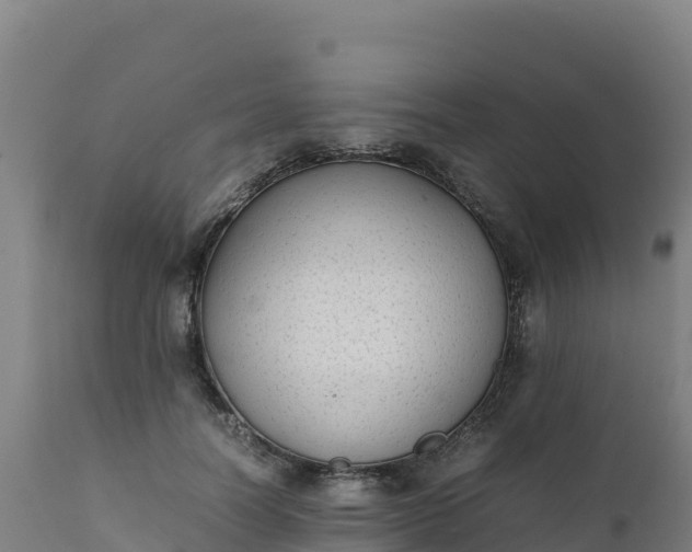 X0000112410746200908281813