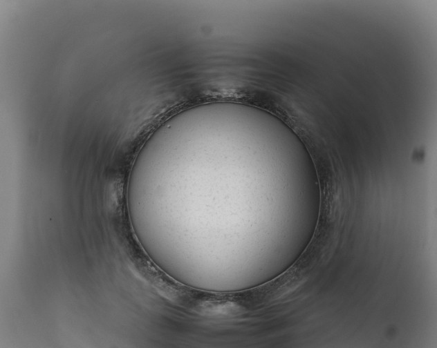 X0000112410747200908281813