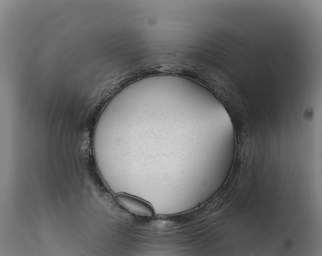 X0000112410748200908281813