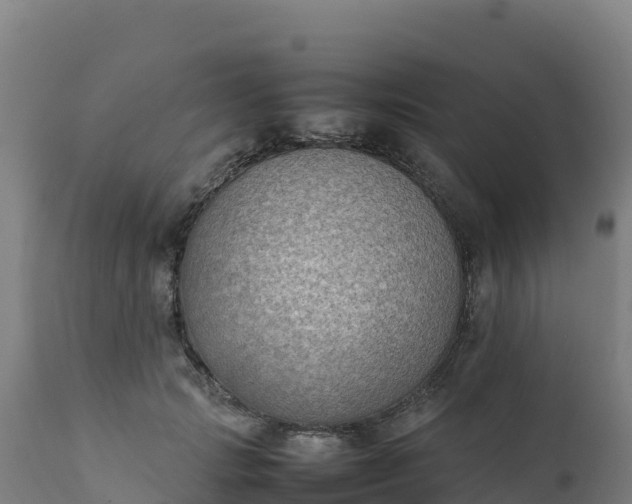 X0000112410749200908281813