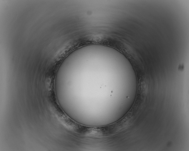 X0000112410750200908281813