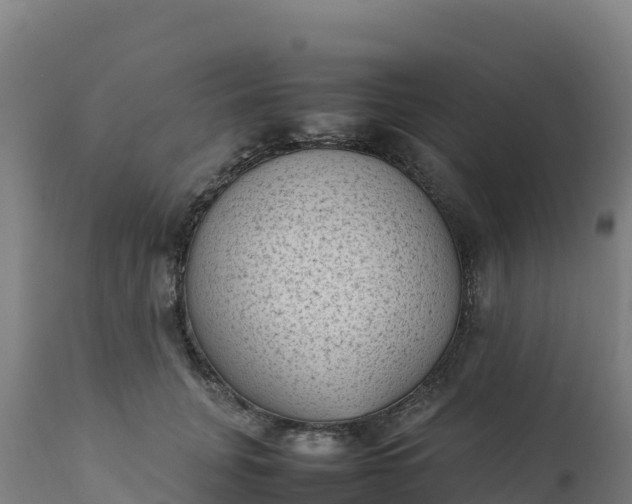 X0000112410751200908281813