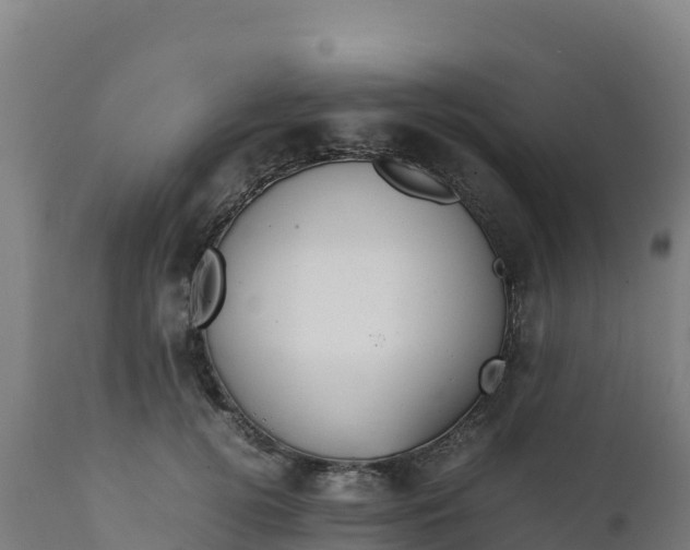 X0000112410752200908281813