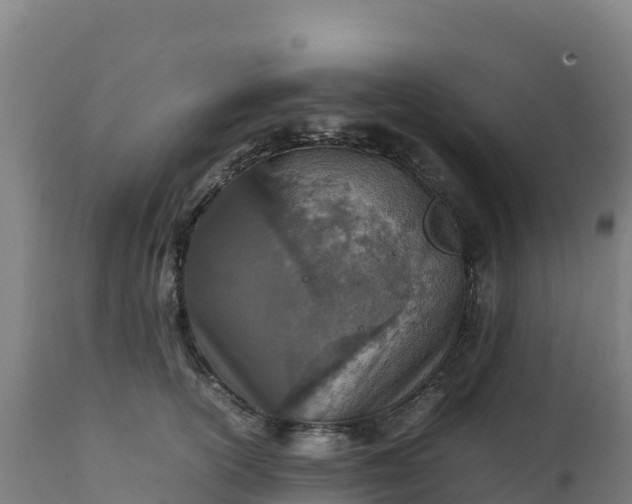 X0000112410754200908281813