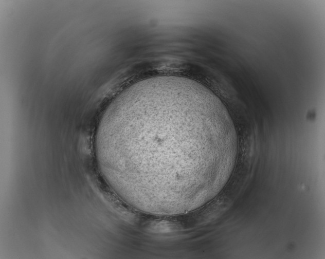 X0000112410755200908281813