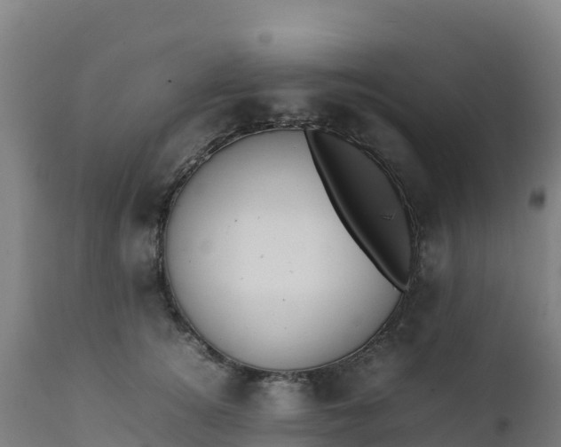 X0000112410756200908281813