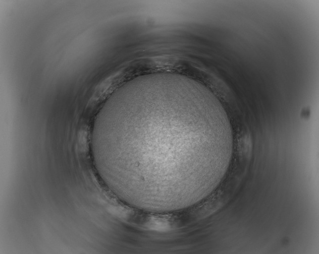 X0000112410757200908281813