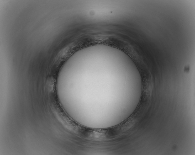 X0000112410758200908281813