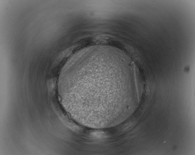 X0000112410759200908281813