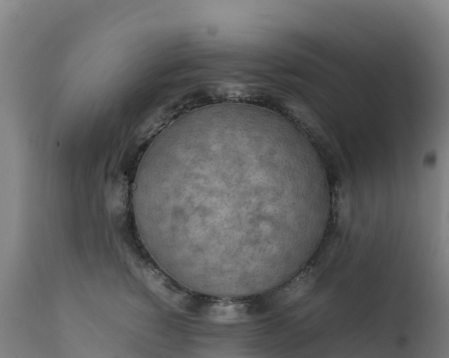 X0000112410760200908281813