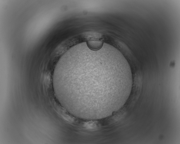 X0000112410761200908281813