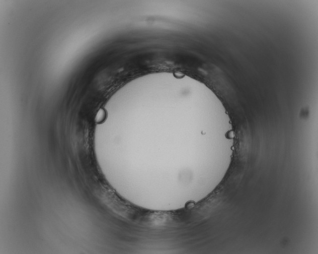 X0000112410762200908281813