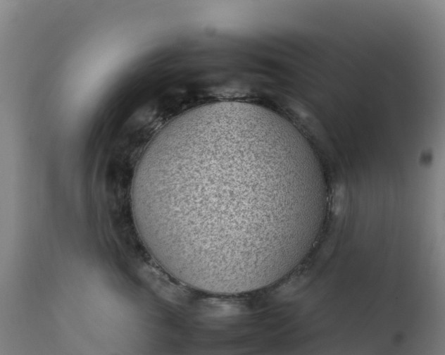 X0000112410763200908281813