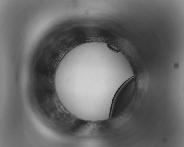 X0000112410764200908281813