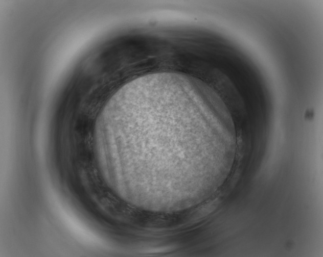 X0000112410765200908281813