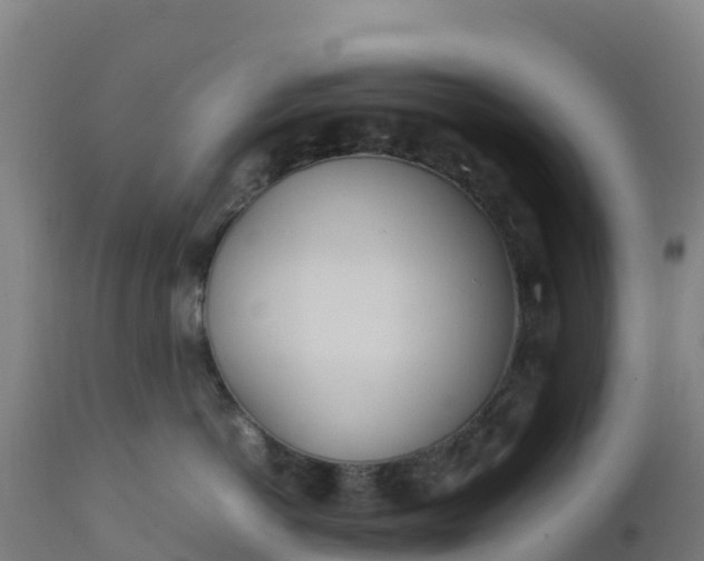 X0000112410766200908281813