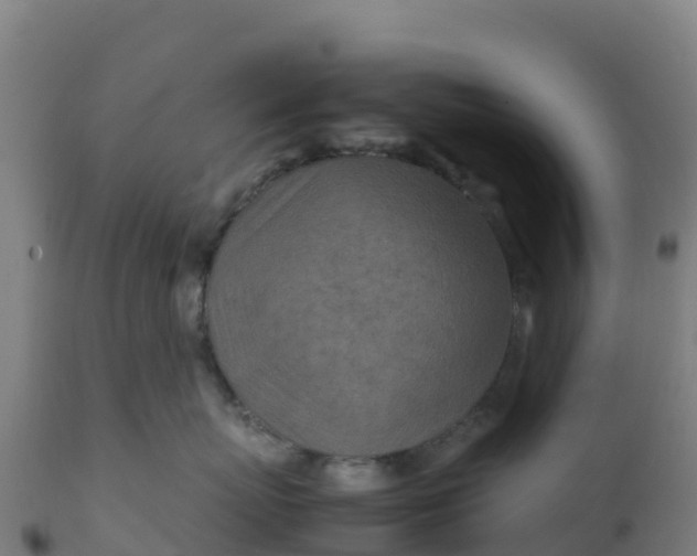 X0000112410767200908281813