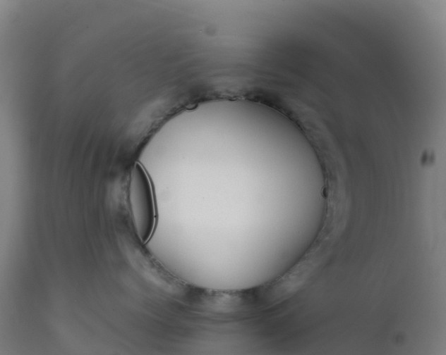 X0000112410768200908281814