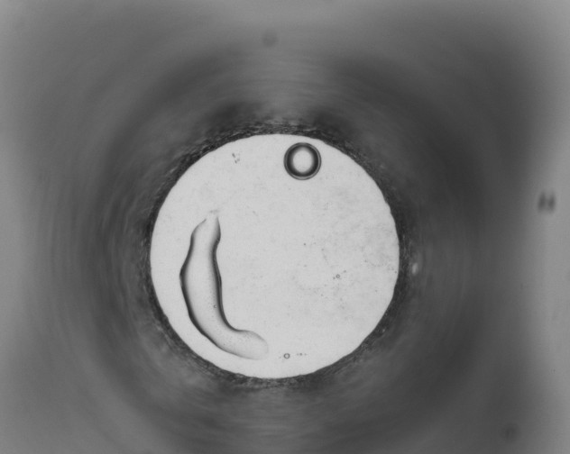 X0000112410769200908281813