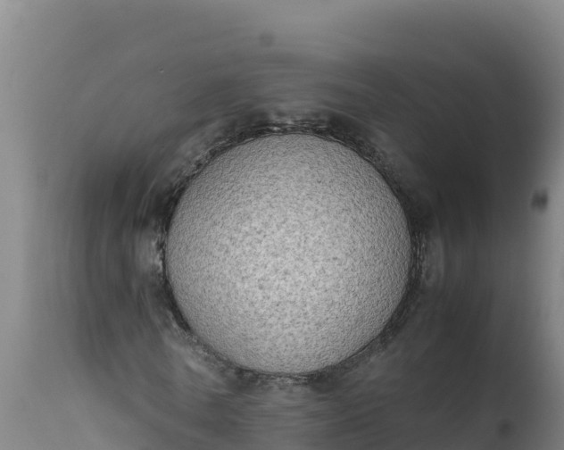 X0000112410770200908281813