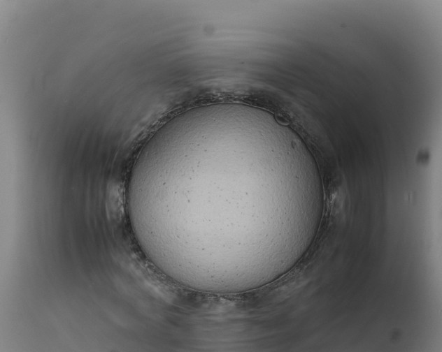 X0000112410772200908281813