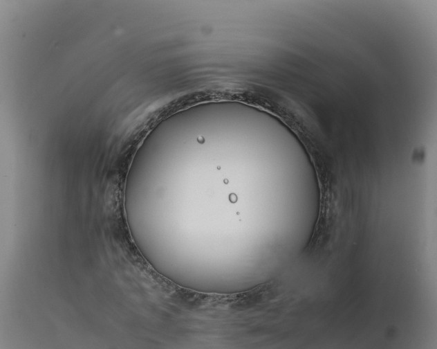 X0000112410773200908281813