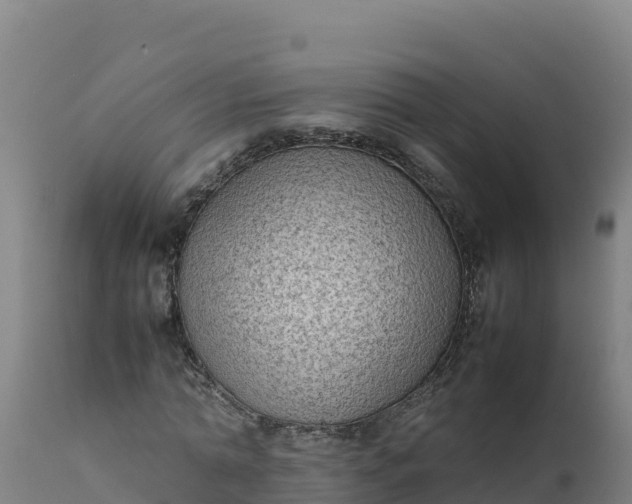 X0000112410774200908281813