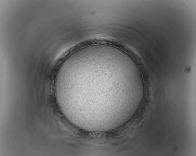 X0000112410775200908281813