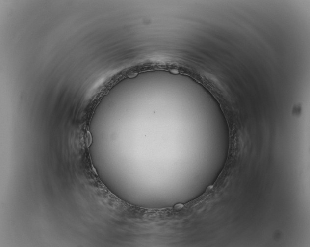 X0000112410776200908281813