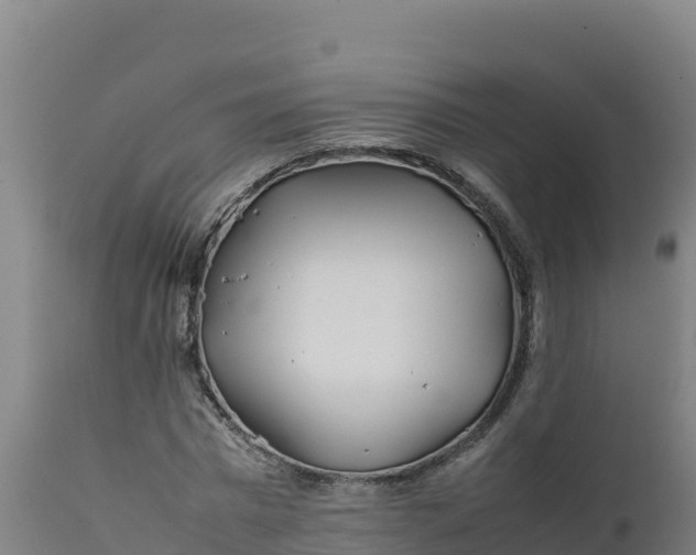 X0000112410777200908281813