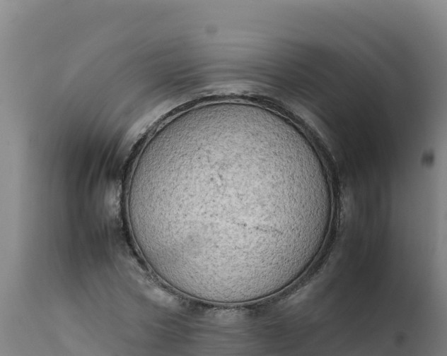 X0000112410778200908281813