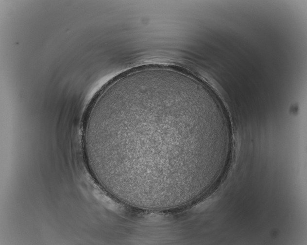 X0000112410779200908281813