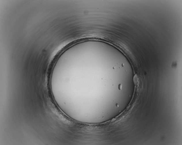 X0000112410780200908281813