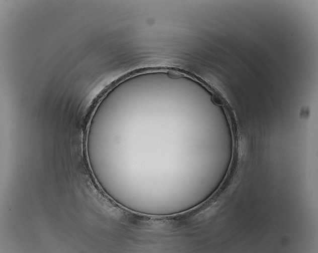 X0000112410781200908281813