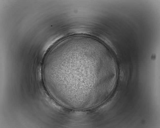 X0000112410782200908281813