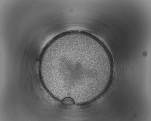 X0000112410783200908281813