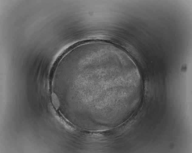 X0000112410784200908281813