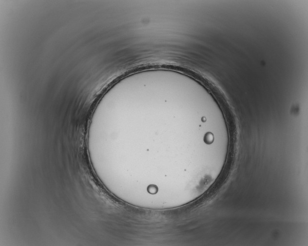 X0000112410785200908281813