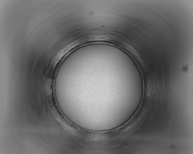 X0000112410786200908281813