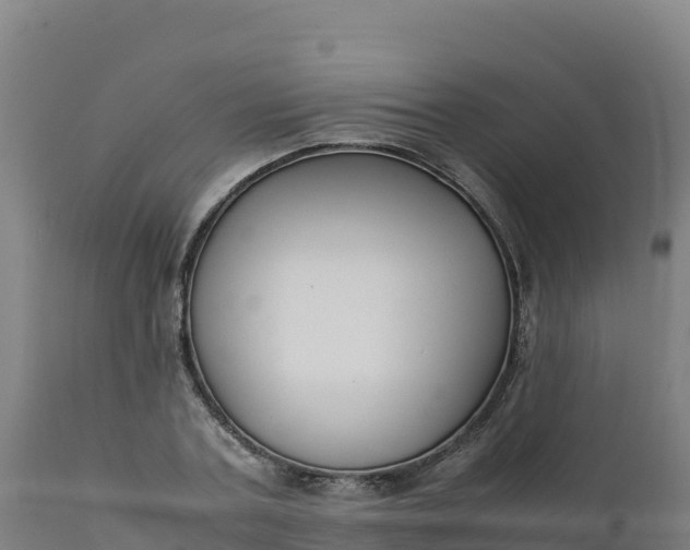 X0000112410787200908281813